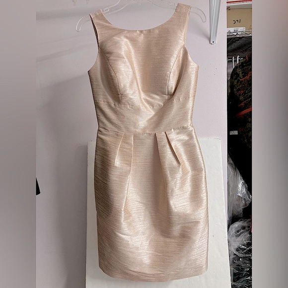 Alfred Sung Dresses & Skirts - Alfred Sung Women’s Boatneck Sleeveless Dress, Small, Pearl Pink, Open Back